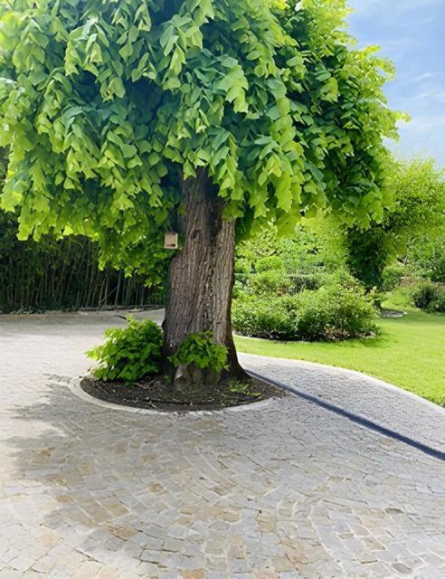 플로이락 Domaine De Garat B&B 외부 사진